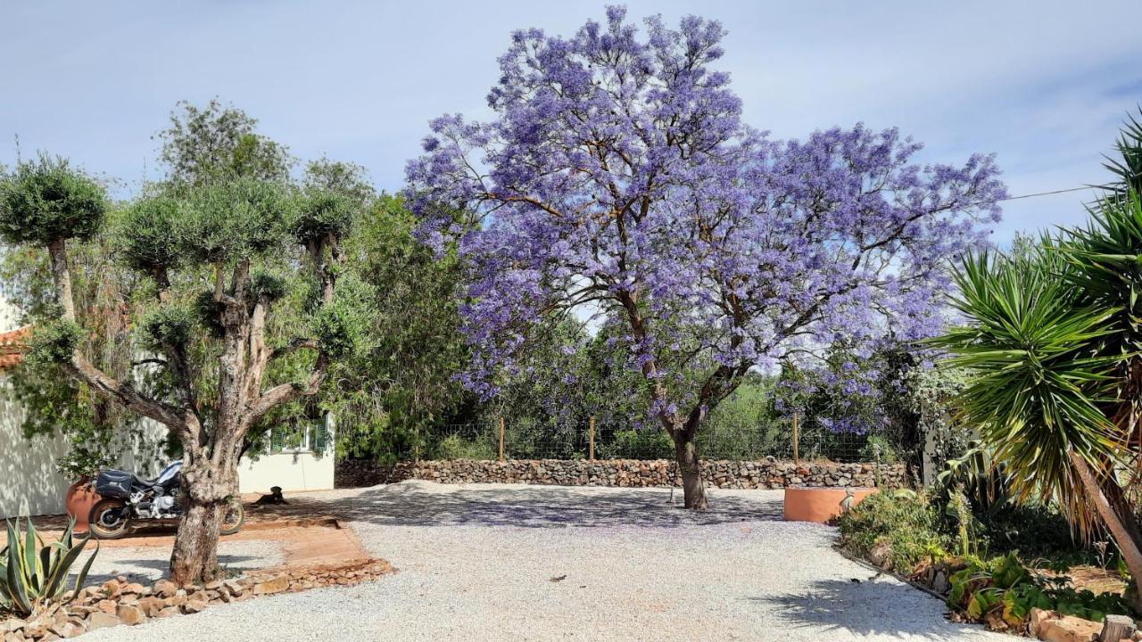 Rural Peace In The Algarve - Private Room With Kitchenette And Bathroom Aldeia dos Matos Εξωτερικό φωτογραφία